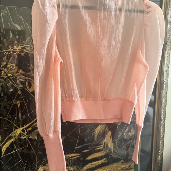 ZARA Sheer Blush Blouse | Crystal Flower Buttons Knit Waist /Romantic - Picture 6 of 10